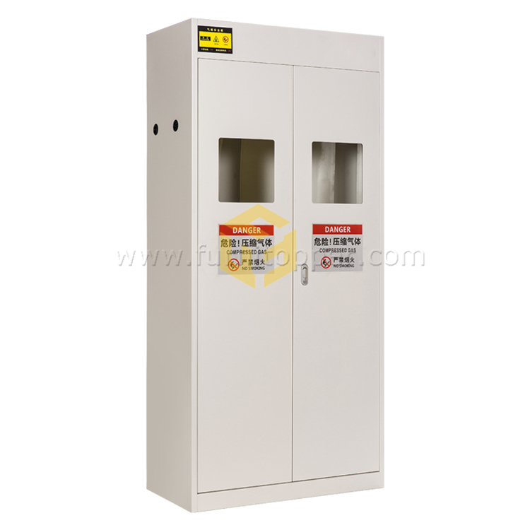 Standard Double Gas Cylinder Cabinet