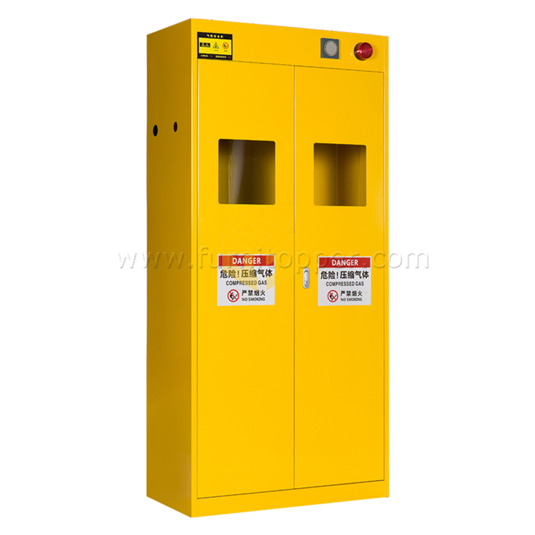 1st Generation Double Gas Cylinder Cabinet